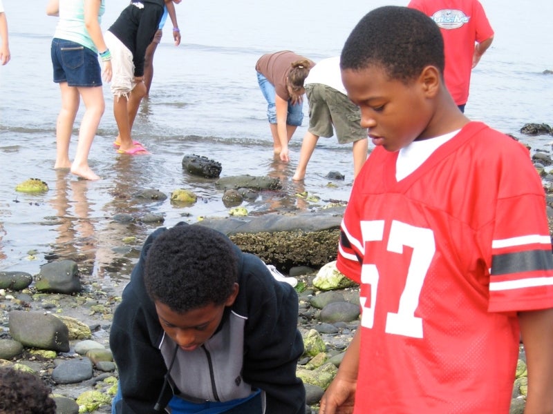 Students exploring the shoreline