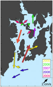 Map of Narragansett Bay and RI Sound with arrows showing direction and volume of water circulation. By C. Kincaid.