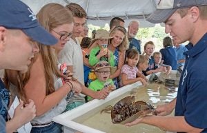 Children and adults get a close look at a horseshoe crab.