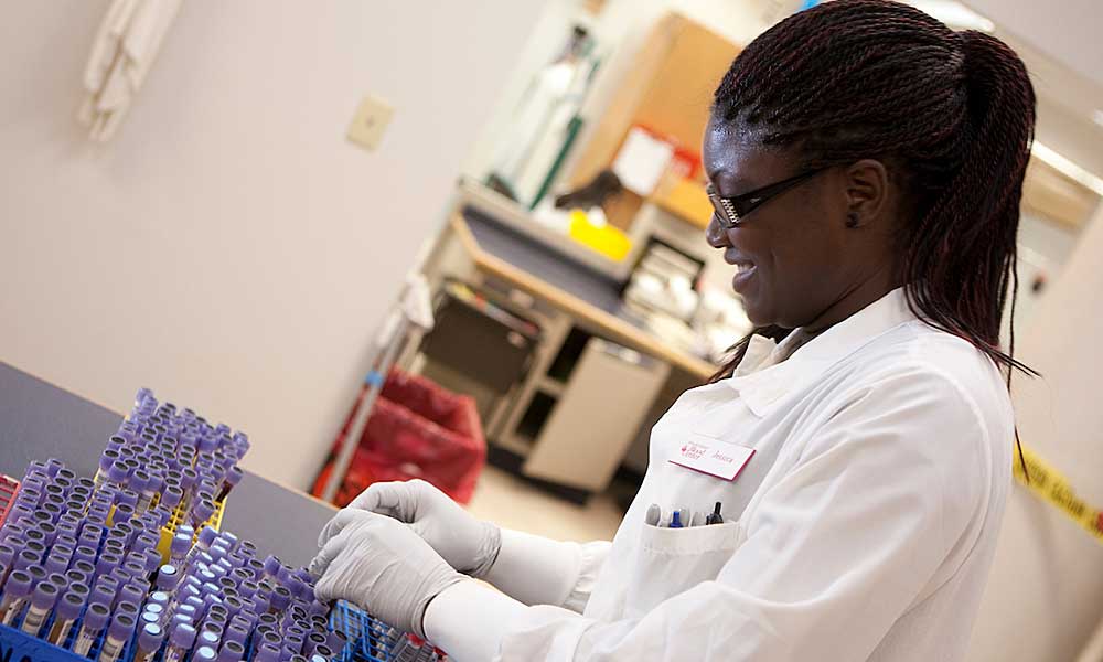 honors program, student in lab coat organizing test tubes