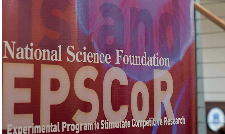 epscor program, national science foundation competition