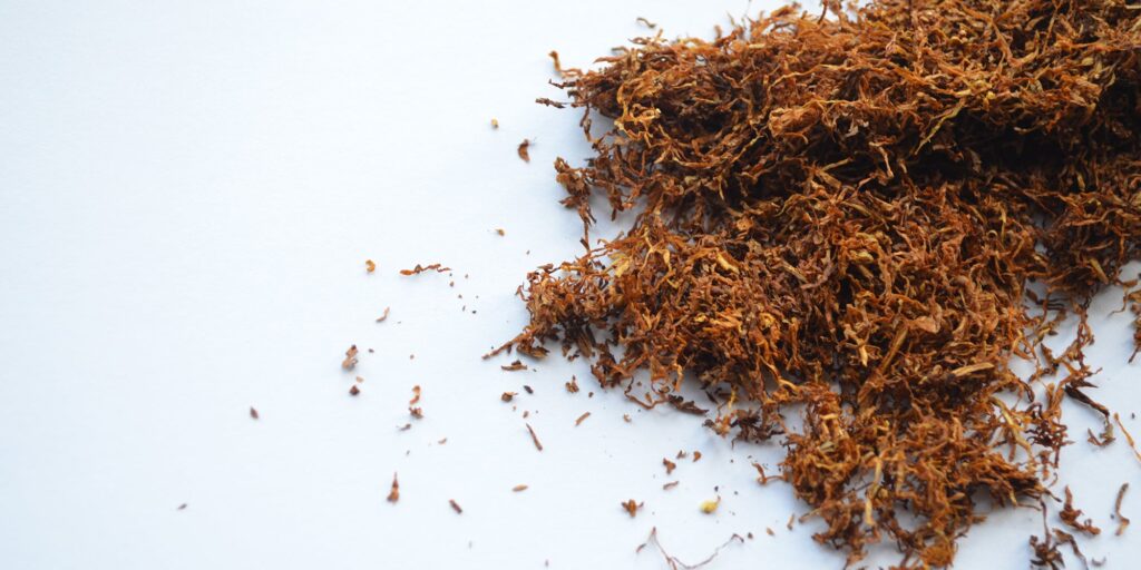 Image of tobacco leaves that have been shredded and dried sit against a white background.